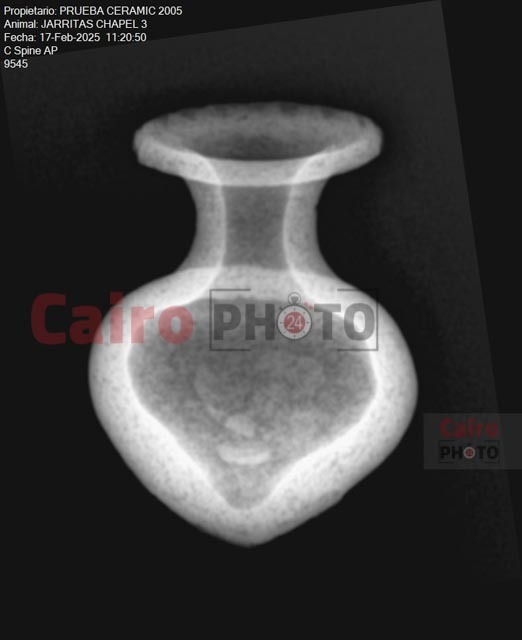 قطعة فخار مُكتشفه بواسطة البعثة الإسبانية بالأقصر   