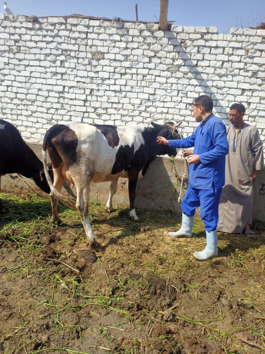 محافظ الفيوم يتابع جهود وأنشطة مديرية الطب البيطري خلال شهر فبراير الماضي