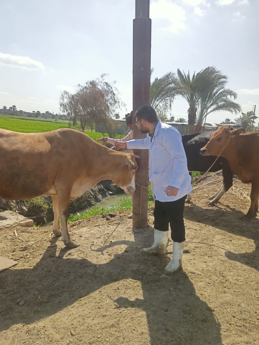 محافظ الفيوم يتابع جهود وأنشطة مديرية الطب البيطري خلال شهر فبراير الماضي