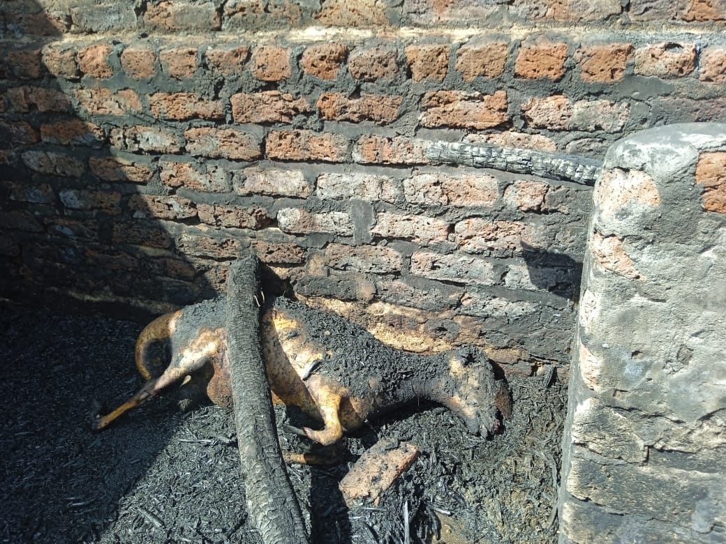 نشوب حريق بحوش ماشية في قنا