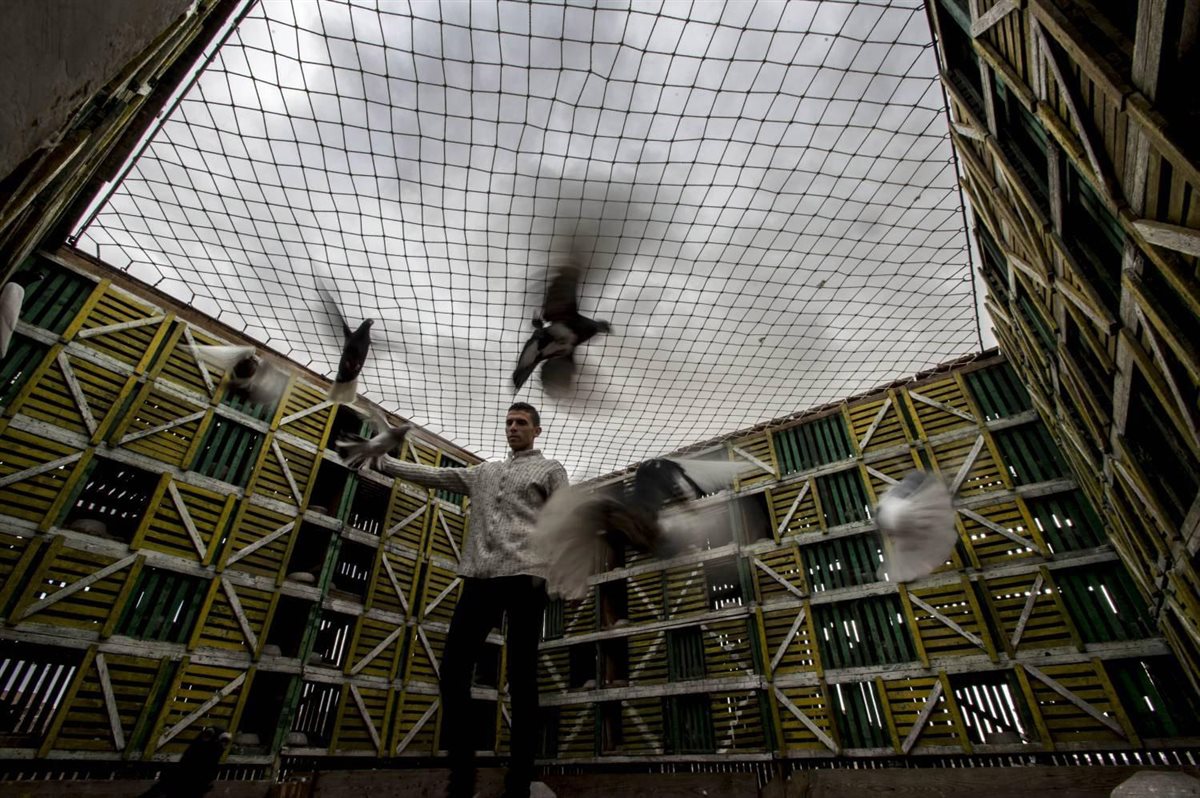 الغية وتاريخ الغواة