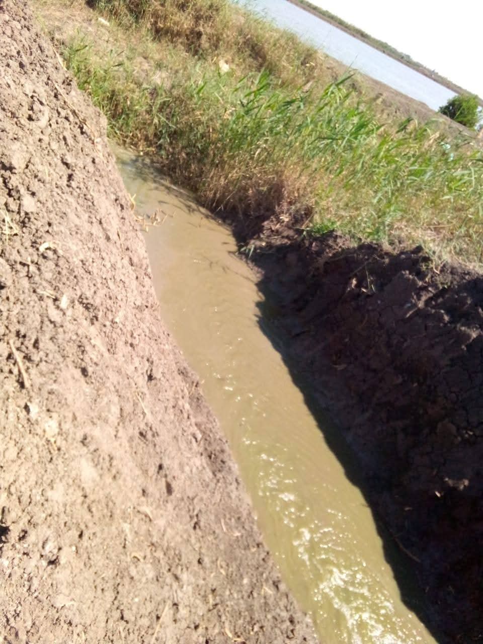 حملة إزالة التعديات ببورسعيد 