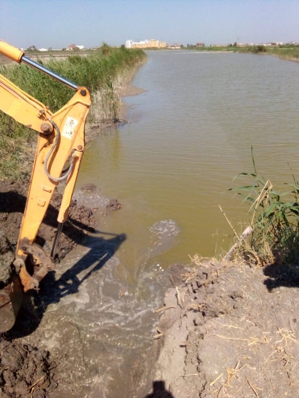 حملة إزالة التعديات ببورسعيد 