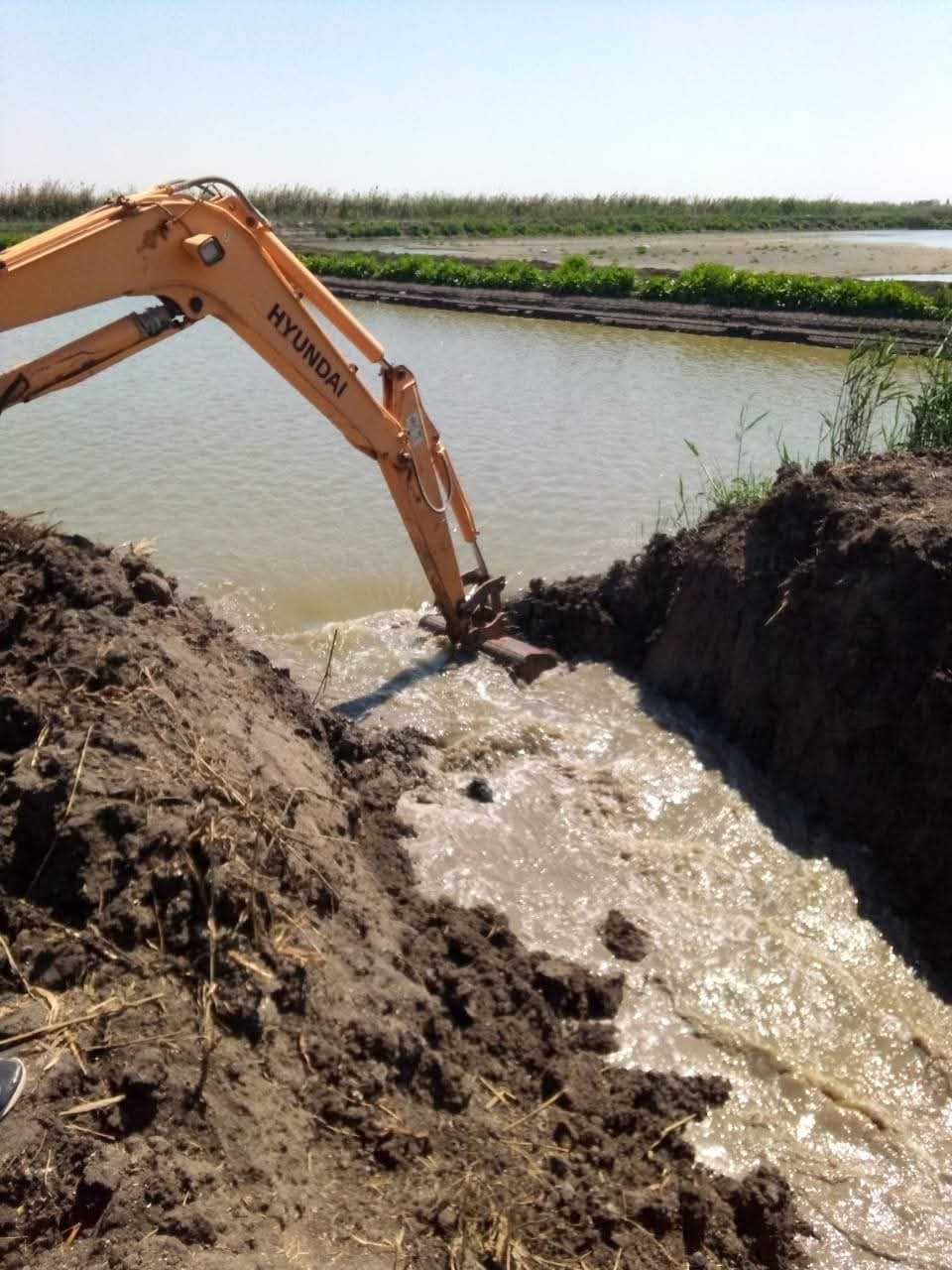 حملة إزالة التعديات ببورسعيد 