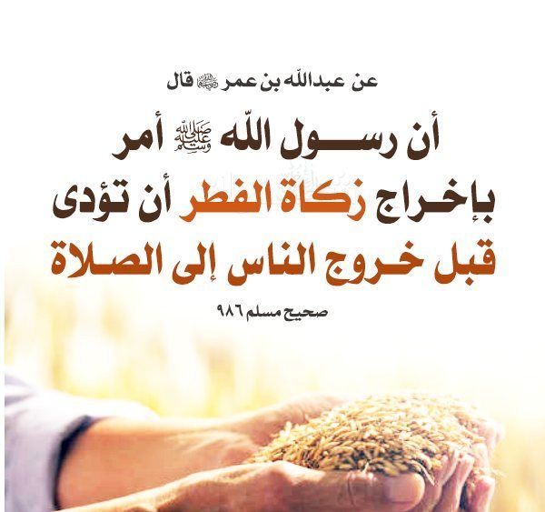 أفضل وقت لإخراج زكاة الفطر وفقًا للسنة النبوية