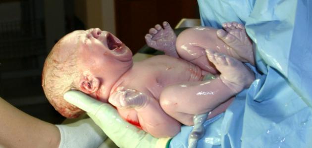 زكاة الفطر على الجنين في بطن أمه هل هي واجبة؟