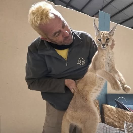 واقعة هجوم الوشق المصري على جنود الاحتلال