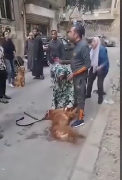 جانب من الفيديو