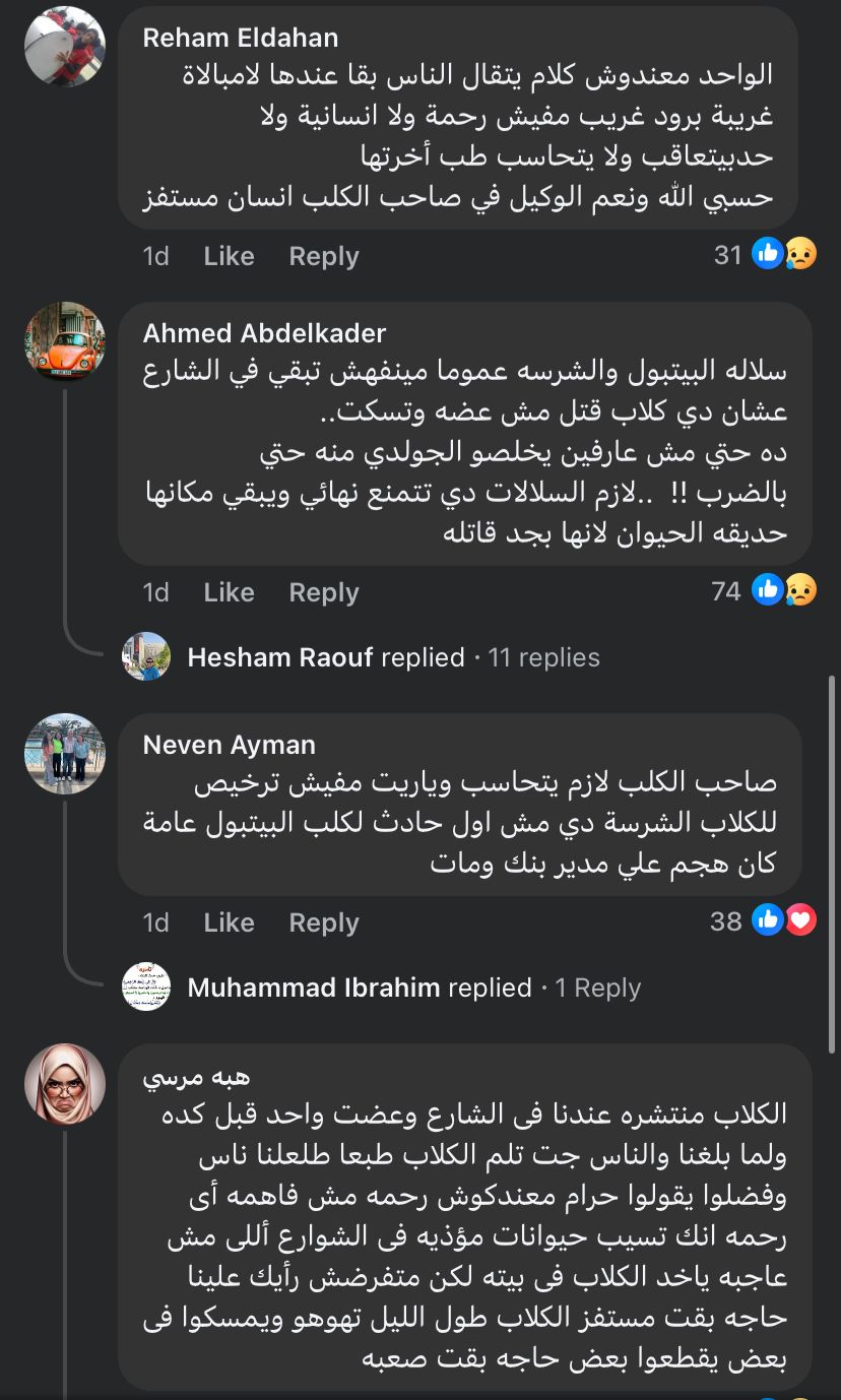 كلب بيتبول يقتل كلب جولدن