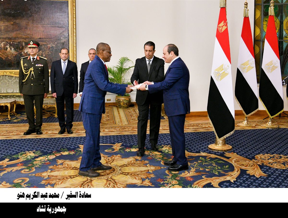 اعتماد 23 سفيرًا جديدًا لدى مصر