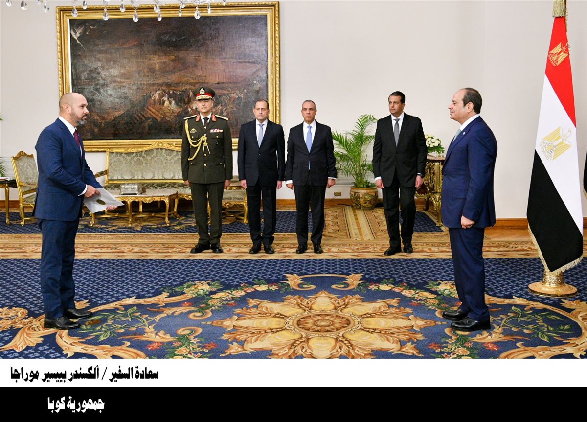 اعتماد 23 سفيرًا جديدًا لدى مصر