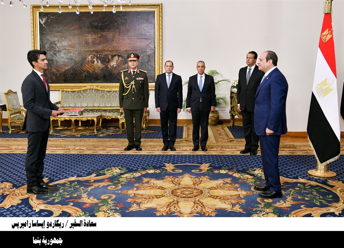 اعتماد 23 سفيرًا جديدًا لدى مصر