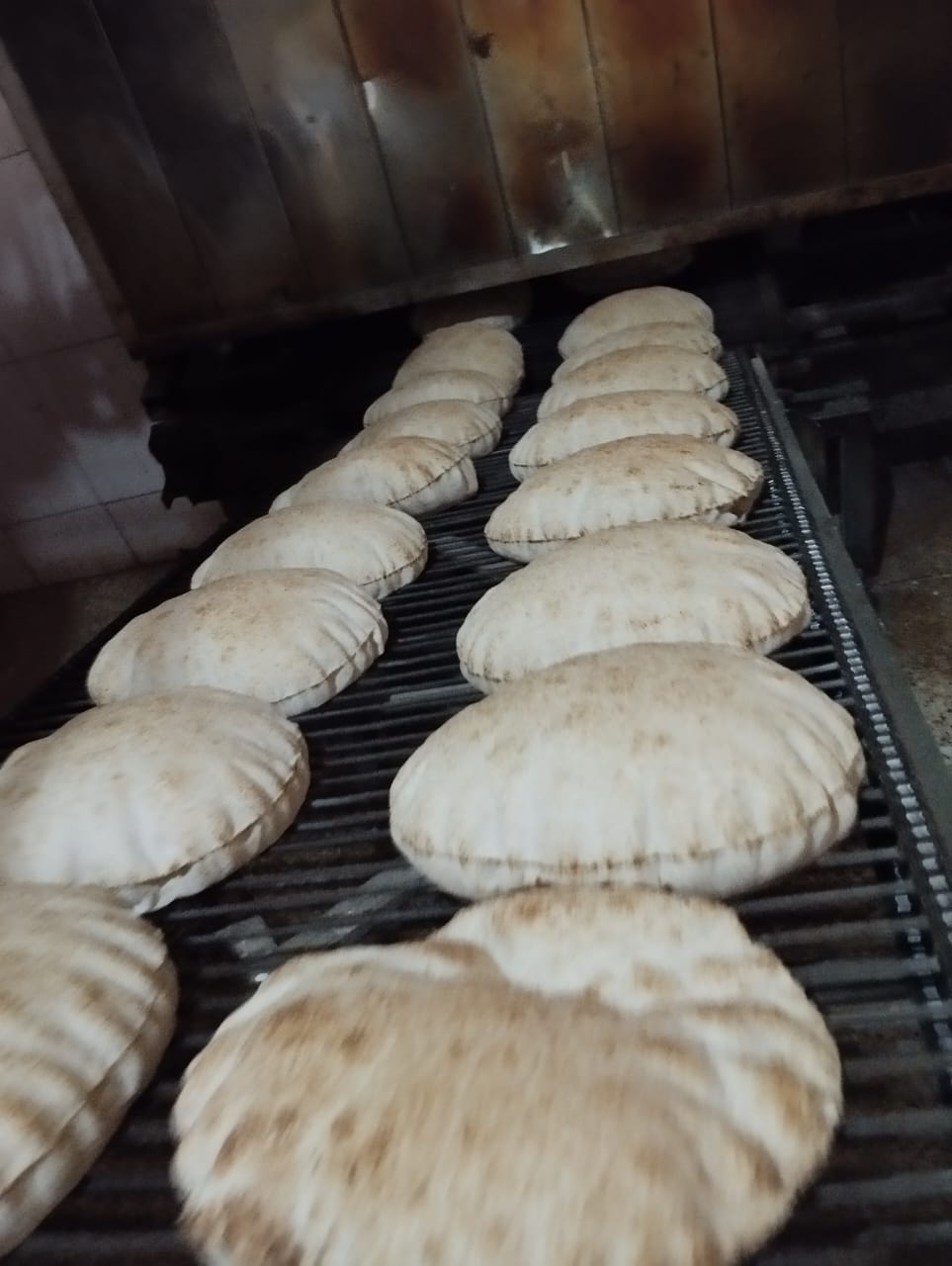 حملات علي المخابز بكفر الشيخ