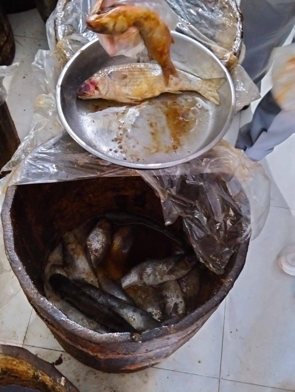 أسماك فاسدة 