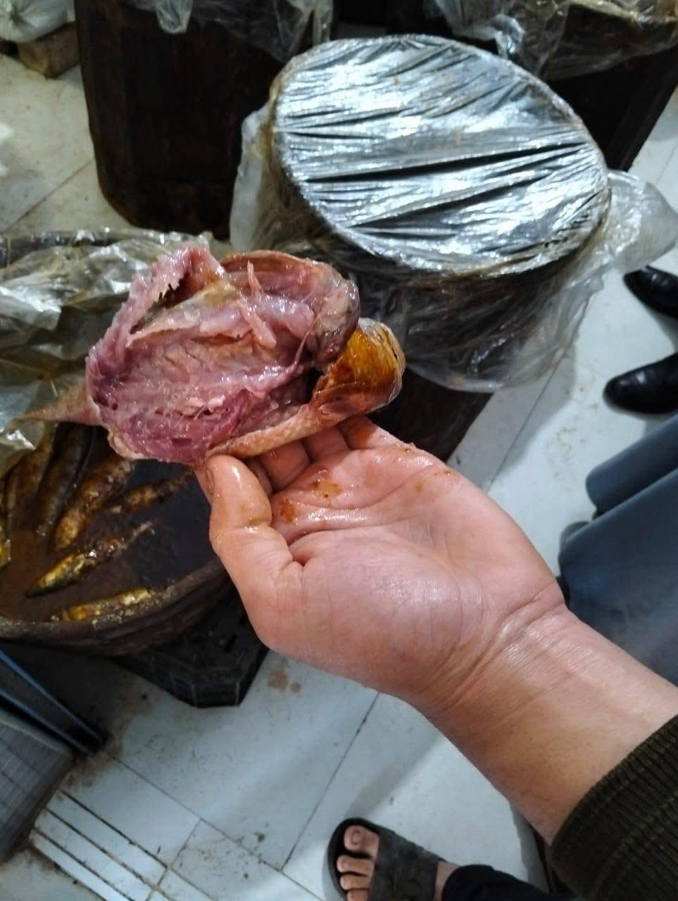 أسماك فاسدة 