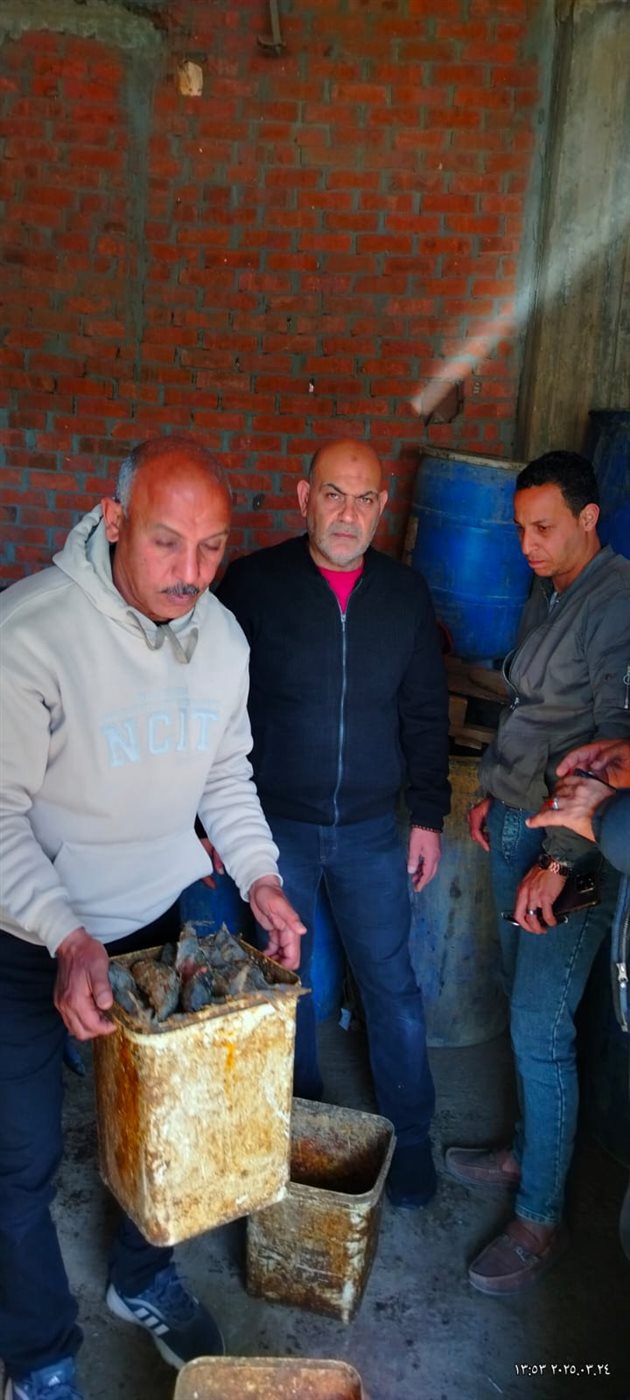 ضبط 2.5 طن أسماك سردين غير صالح للاستهلاك الآدمي بالمنوفية 