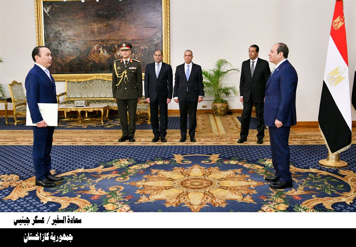 اعتماد 23 سفيرًا جديدًا لدى مصر