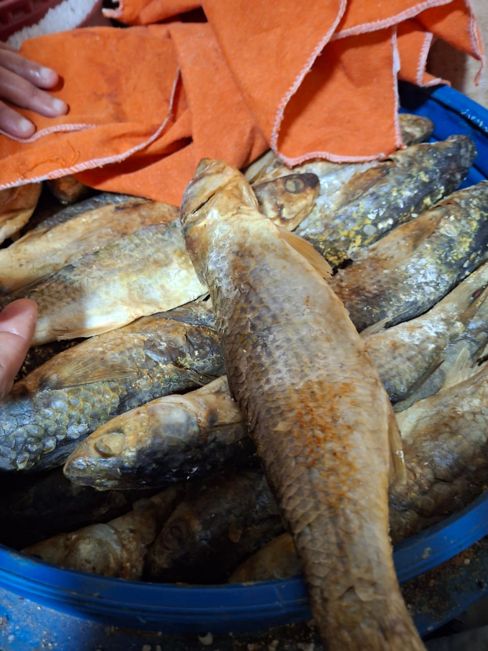 المضبوطات الغير صالحة للاستهلاك الأدمي