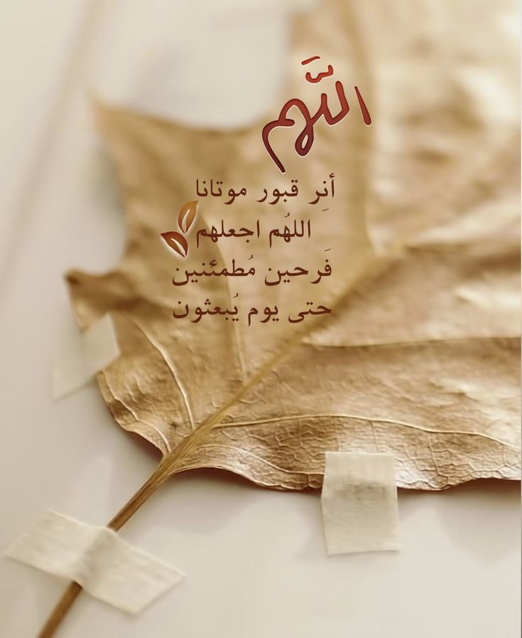 دعاء للميت في ليلة القدر