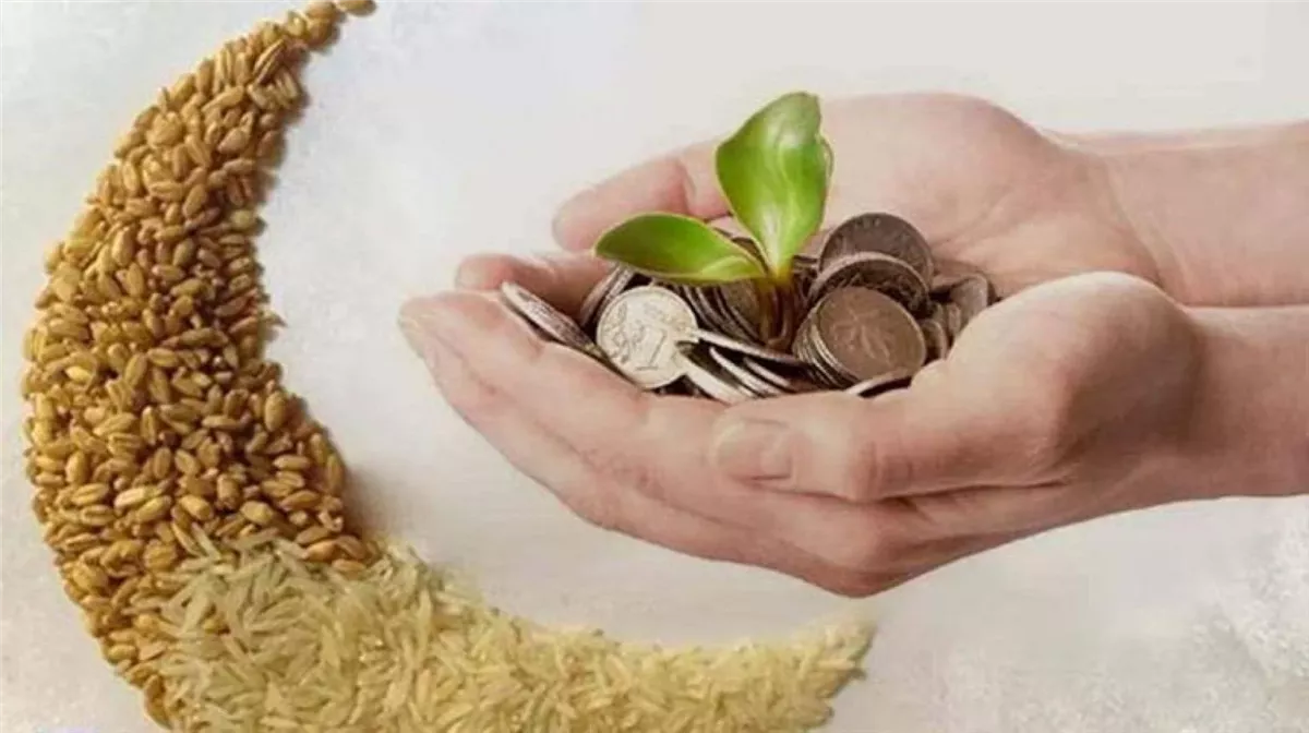 متى أخرج زكاة الفطر؟.. تعرف على الفرق بينها وبين زكاة المال