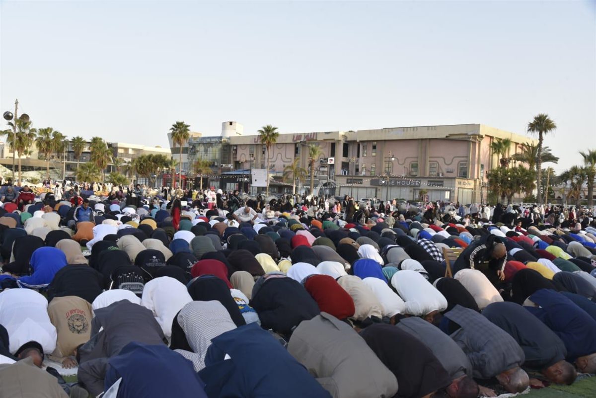 محافظ بورسعيد 