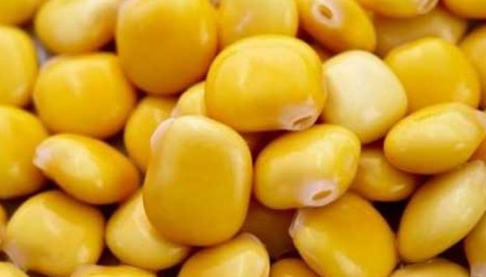 خطوة بخطوة.. طريقة عمل الترمس السريع بمقادير بسيطة