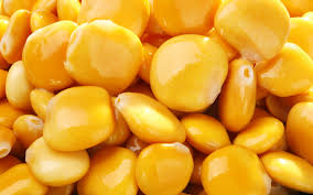 مقادير عمل الترمس السريع