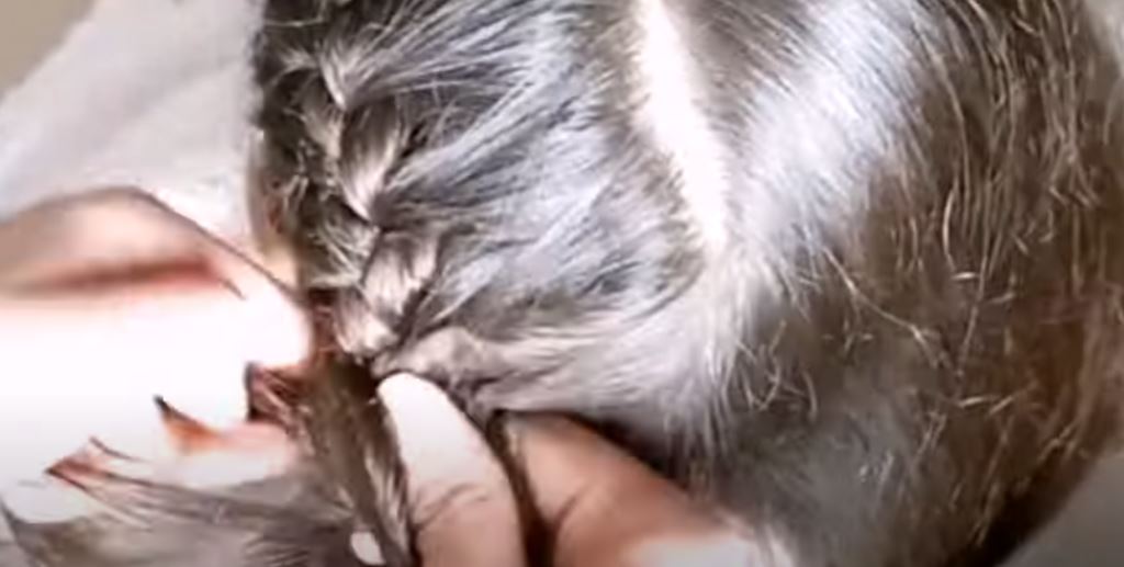 طريقة عمل السنبلة بالصور خطوة بخطوة