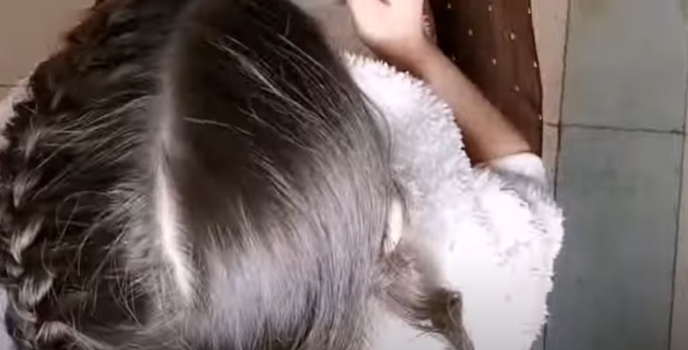 طريقة عمل السنبلة بالصور خطوة بخطوة