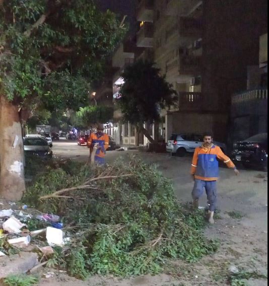 تهذيب أشجار