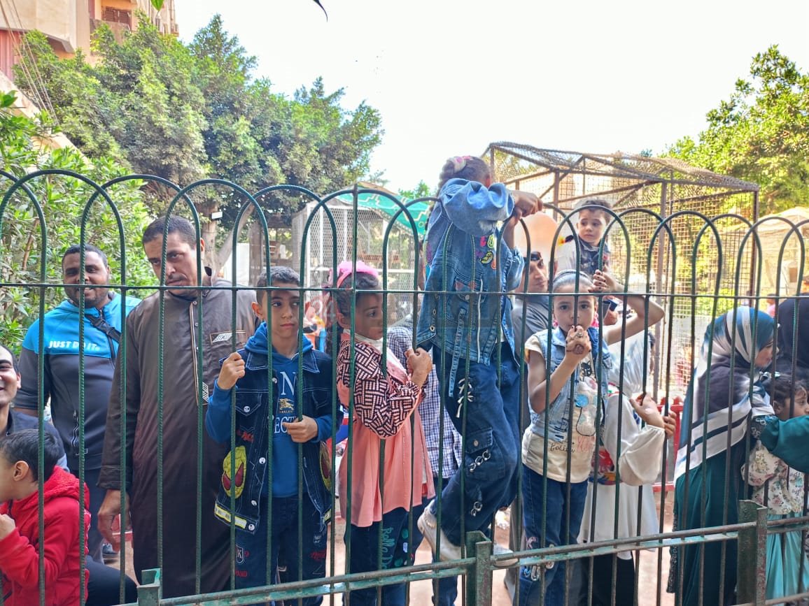 الاقبال على حديقه الحيوان بالفيوم 