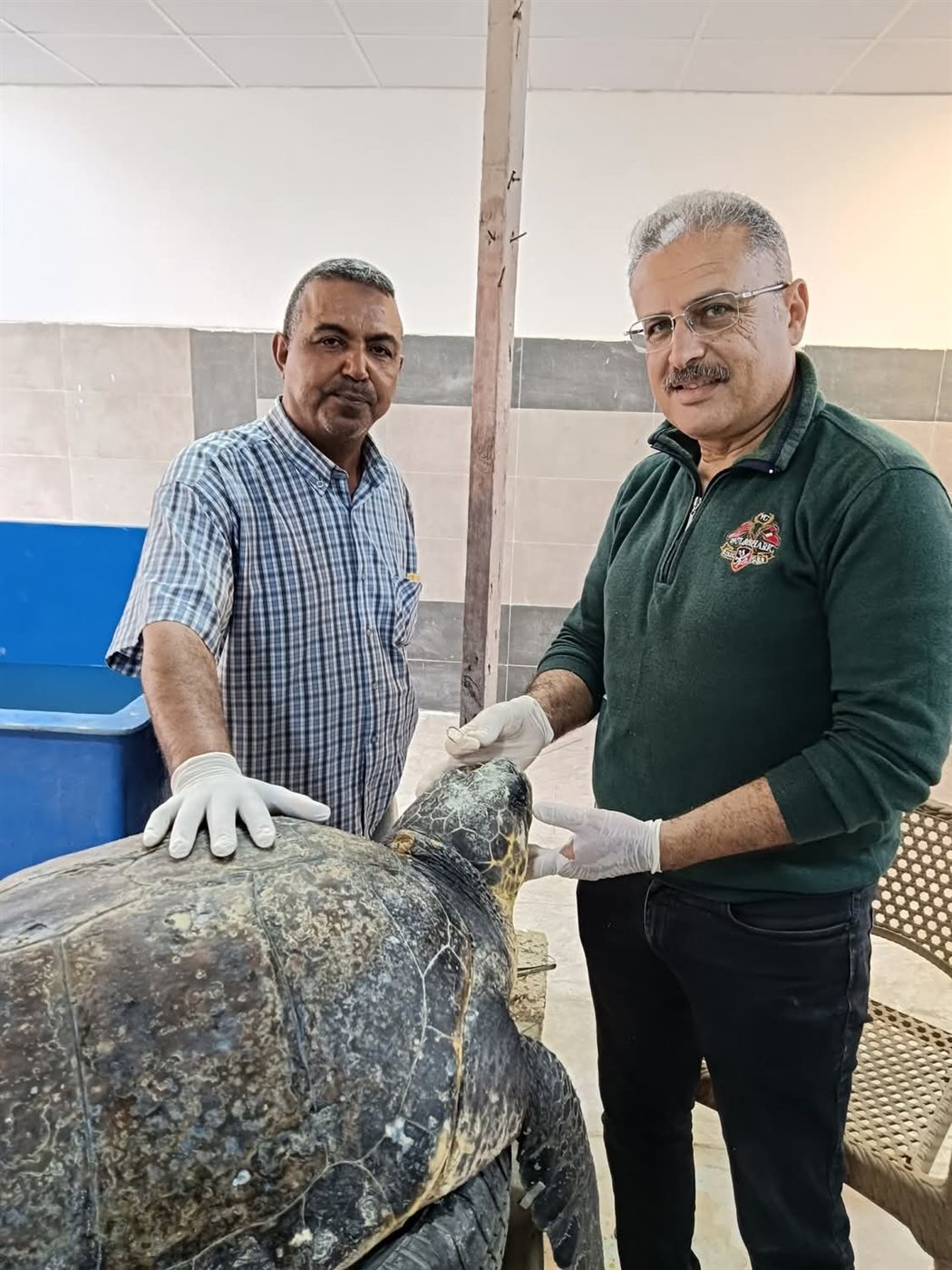 مركز إنقاذ السلاحف البحرية بمحمية أشتوم الجميل ببورسعيد