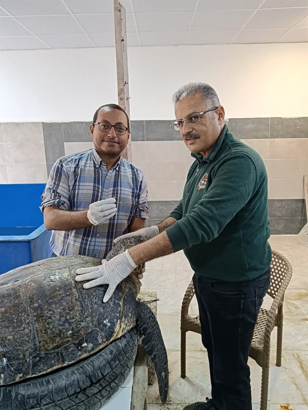 مركز إنقاذ السلاحف البحرية بمحمية أشتوم الجميل ببورسعيد