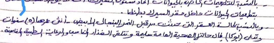 تقرير مديرية الطب البيطري بالغربية في واقعة سيرك طنطا