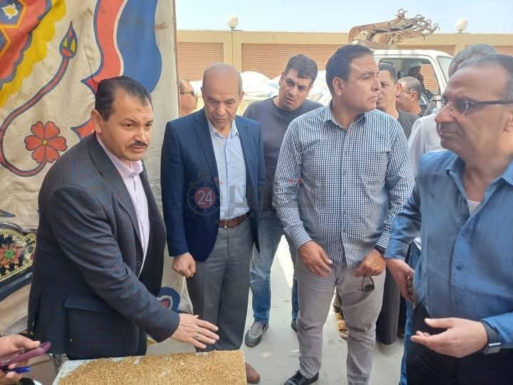 توريد القمح في الفيوم 