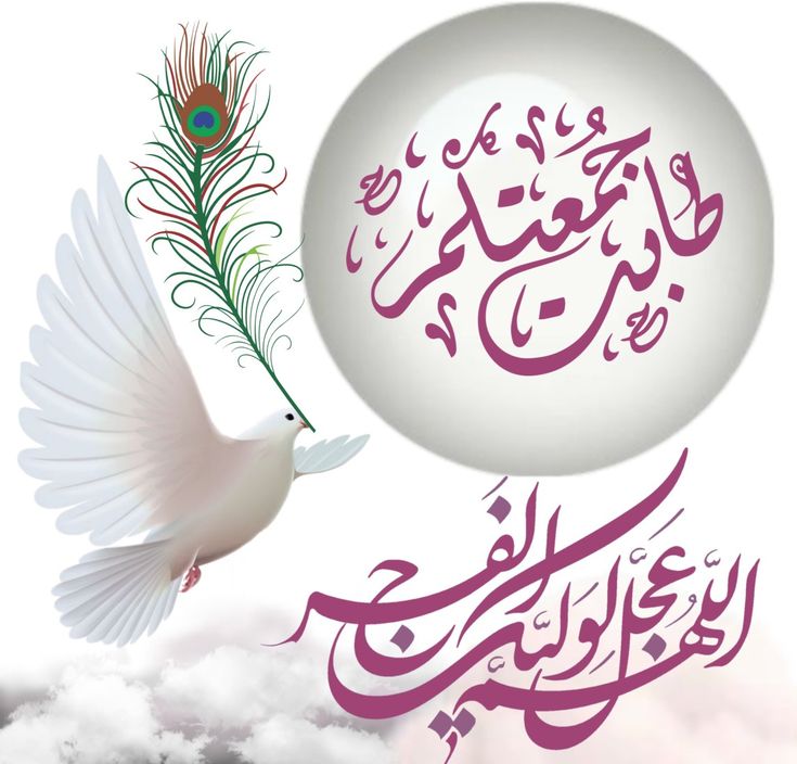 صور ليوم الجمعة