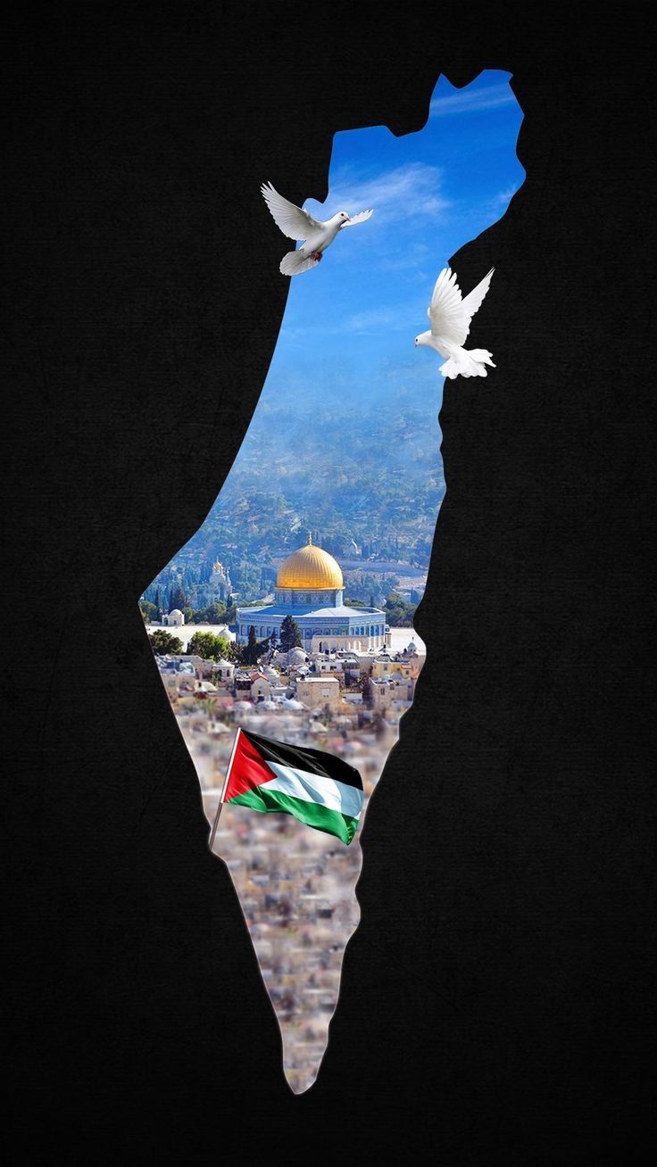 خلفيات علم فلسطين