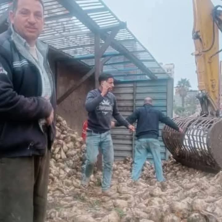 جانب من الحادث 