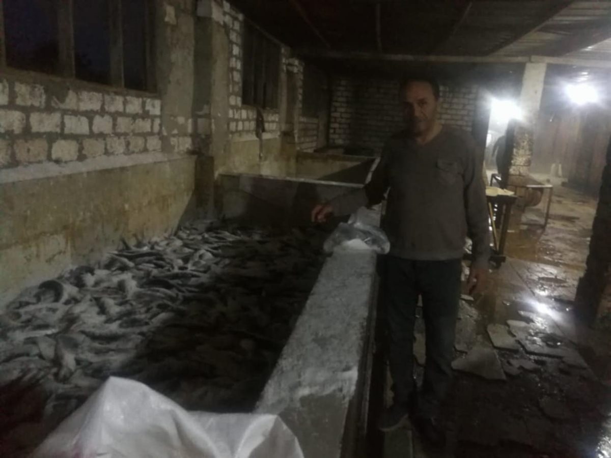 ضبط 4500 كجم أسماكا مدخنة داخل حظيرة مواشٍ