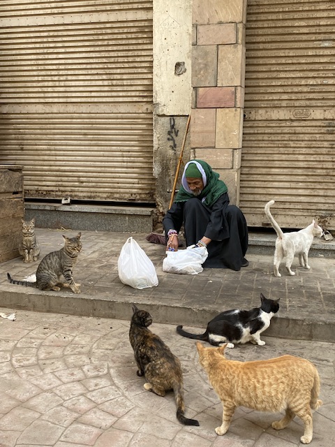 وفاة العم بكري اشهر عاشق للقطط بشوارع الأقصر