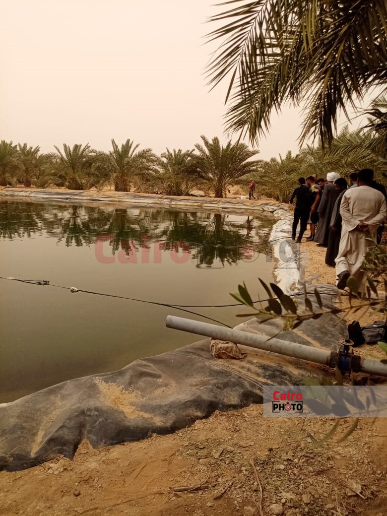 بئر الصرف الصحي