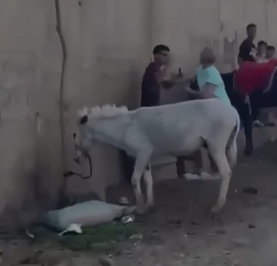 جانب من الواقعة 