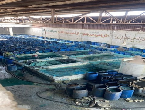 المصنع المضبوط