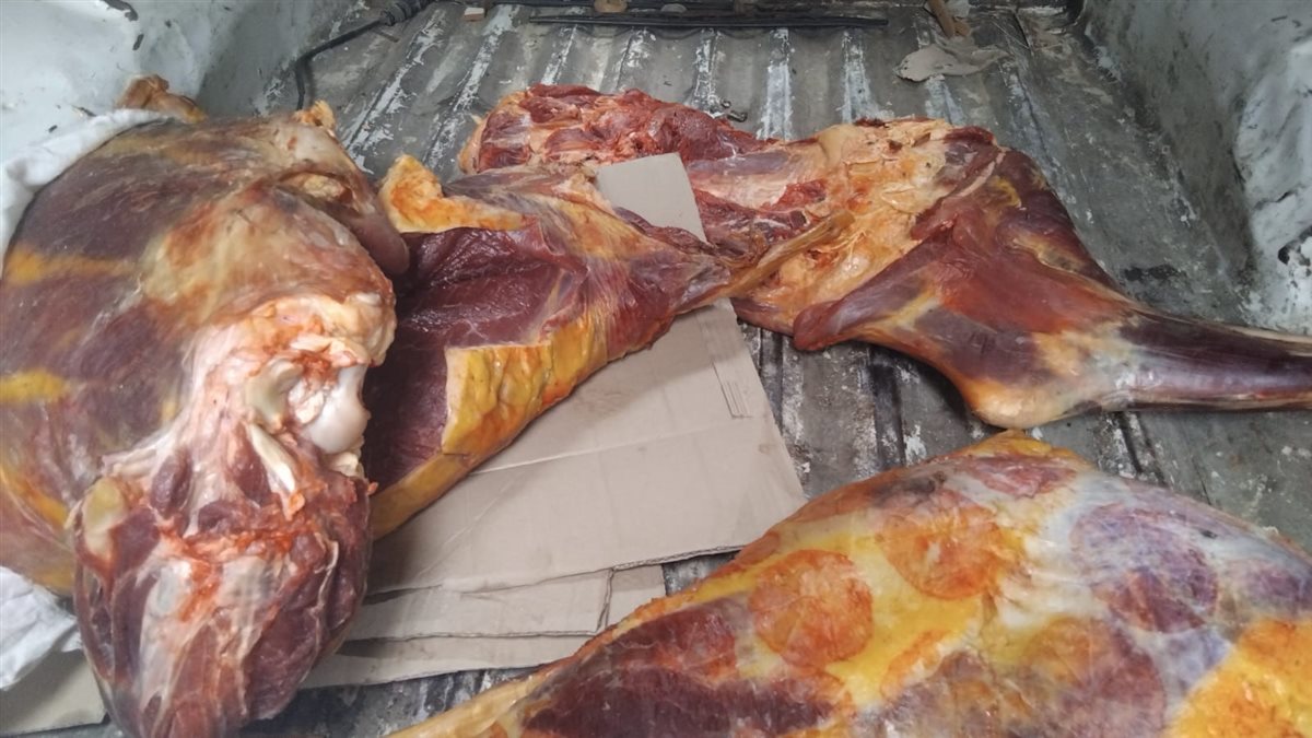 جانب من المضبوطات في الحملة 