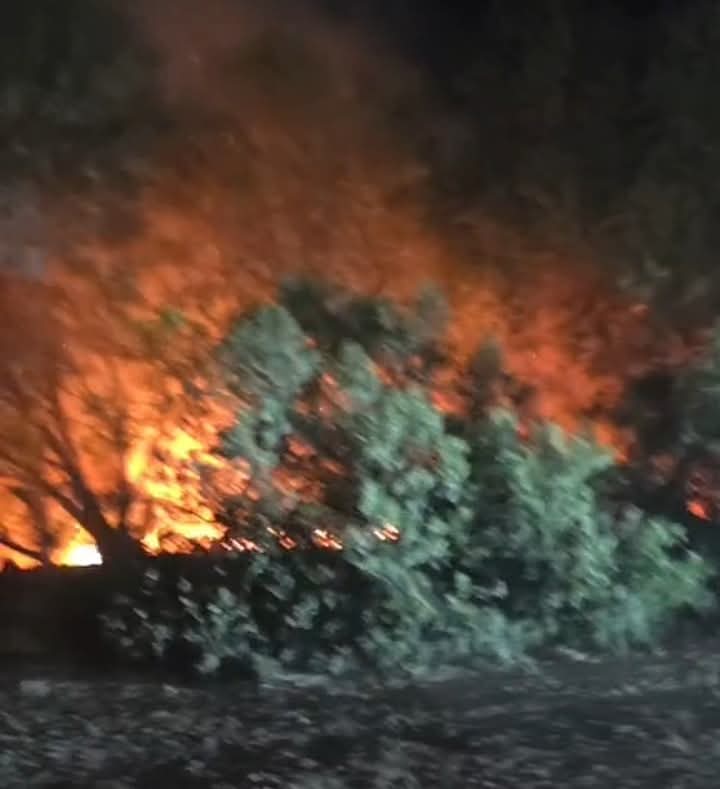 جانب من الحريق