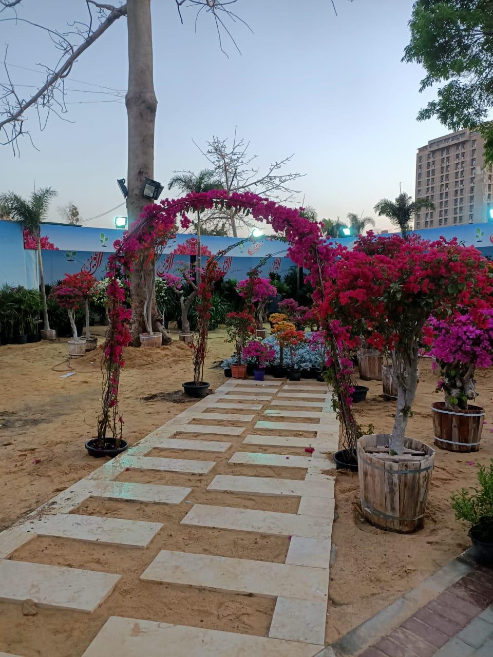 الاستعدادات النهائية لانطلاق معرض زهور الربيع 