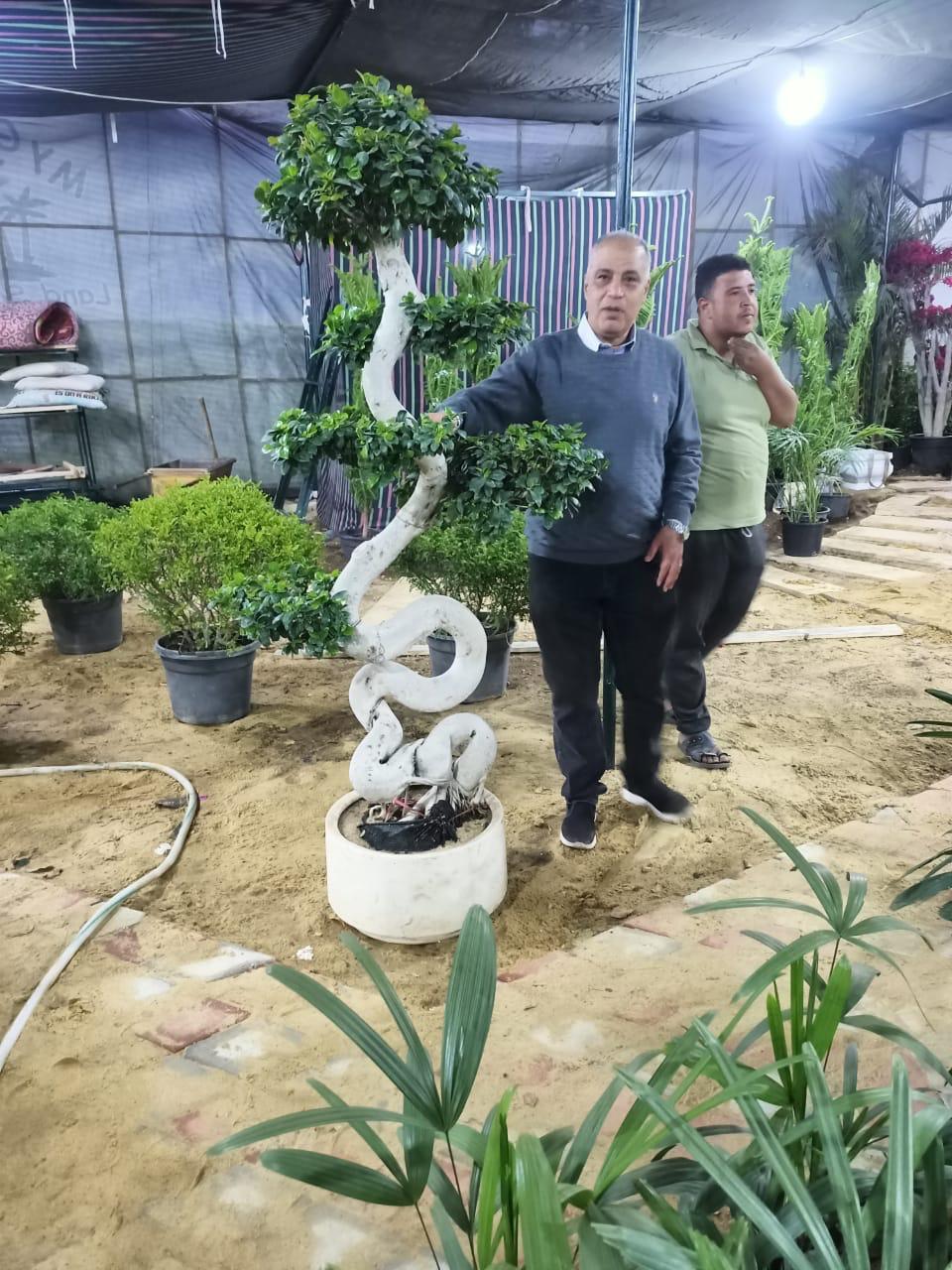 الاستعدادات النهائية لانطلاق معرض زهور الربيع 