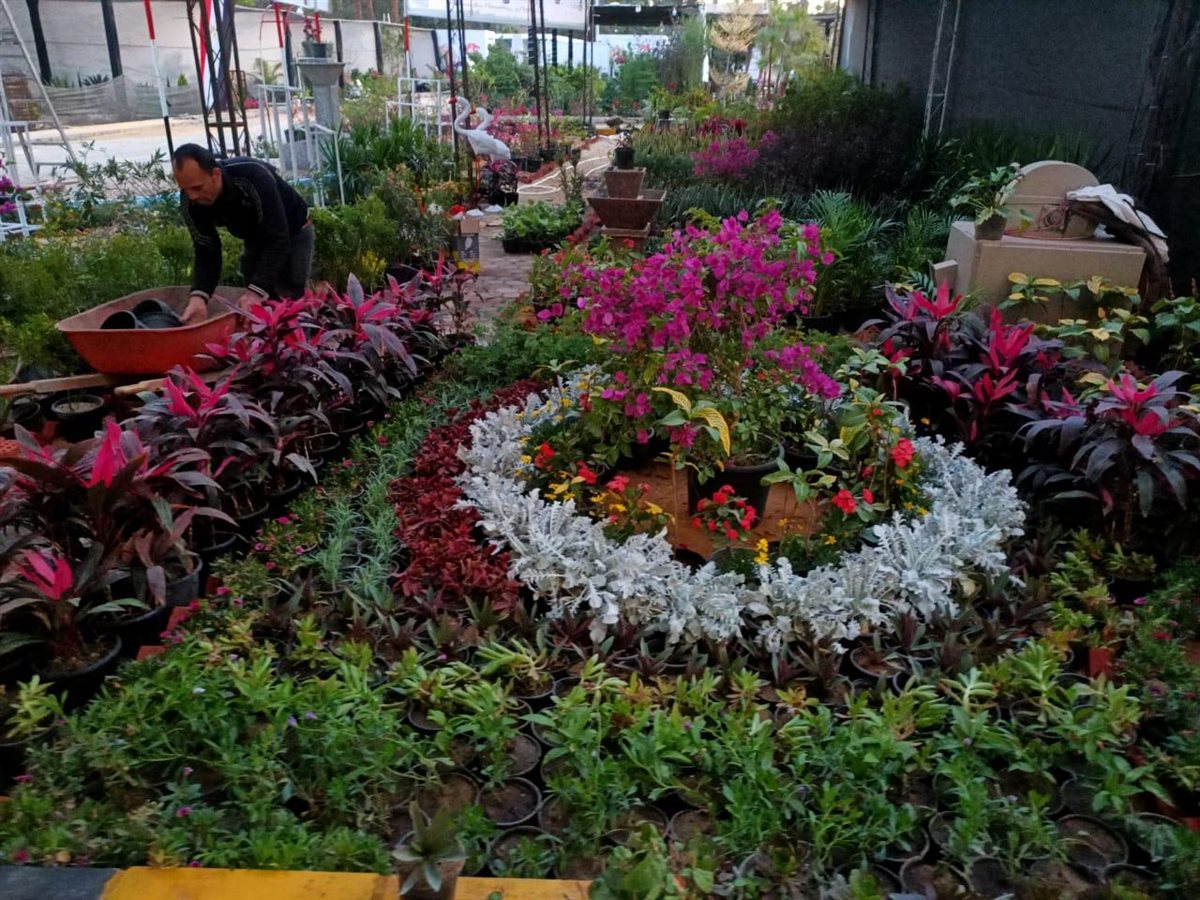 الاستعدادات النهائية لانطلاق معرض زهور الربيع 