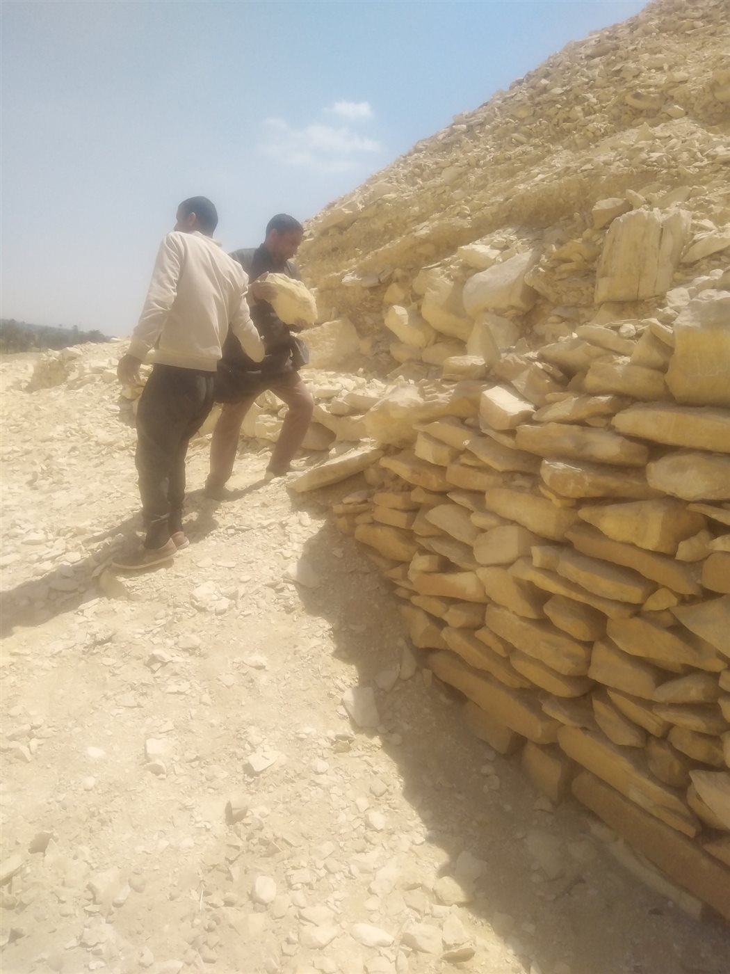 آثار ميدوم تشن حملة لنظافة منطقة هرم الملك سنفرو