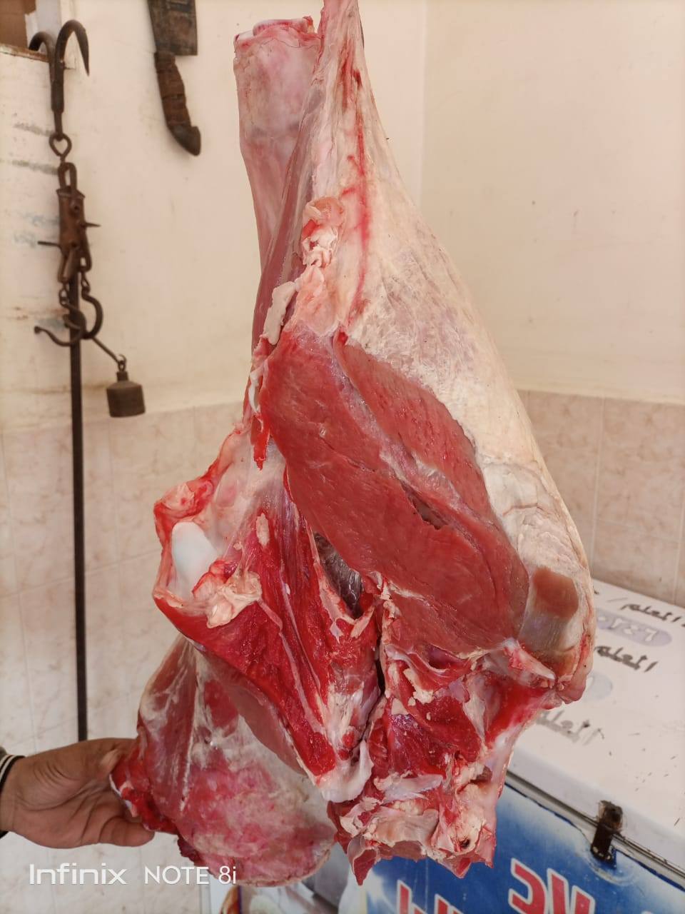 حملة على أسواق كفر الشيخ 